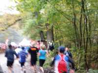 2014.10.12 - 37. Harzgebirgslauf - 33